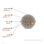 کابل افشان شیلددار ۱×۱۲ مدل NYSLYC اعتماد رسانا
