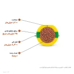 سیم افشان ارت ۲۵×۱ مدل NYAF لوشان
