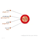 سیم مفتولی ۲٫۵×۱ مدل NYA لوشان